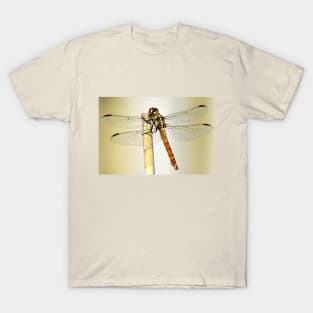 Dragonfly T-Shirt